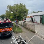 Incendiu la un depozit de legume-fructe din Târgu Mureș featured-15