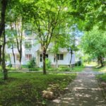 Locatarii ar putea primi gratuit flori și arbori pentru spațiile verzi dintre blocuri. Proiect nou în Consiliul Local Târgu Mureș featured-92