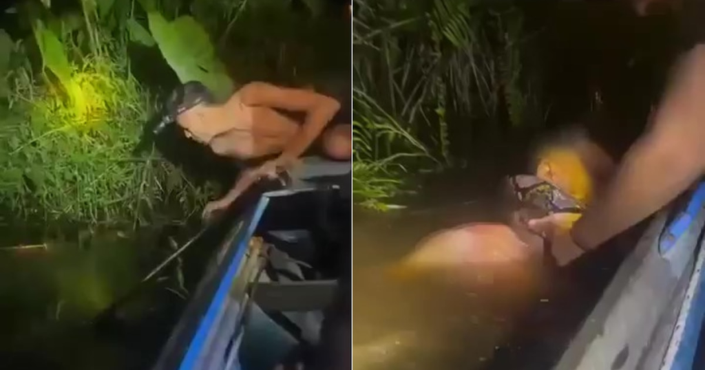 S -a aruncat să caute un pește, dar nu și -a imaginat niciodată că sub apă aștepta o anaconda pe care tânărul pescar a fost mușcat în braț și reptile a încercat să -l împlinească pentru a -l trage. Reacția colegilor săi de clasă a fost esențială pentru eliberarea lui