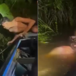 S -a aruncat să caute un pește, dar nu și -a imaginat niciodată că sub apă aștepta o anaconda pe care tânărul pescar a fost mușcat în braț și reptile a încercat să -l împlinească pentru a -l trage. Reacția colegilor săi de clasă a fost esențială pentru eliberarea lui