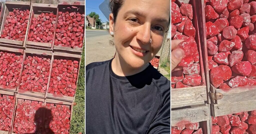 Ingeniozitatea argentiniană care mătura Tiktok: căpșunile de piatră care i -au înșelat pe toți în Santa Feuna Young