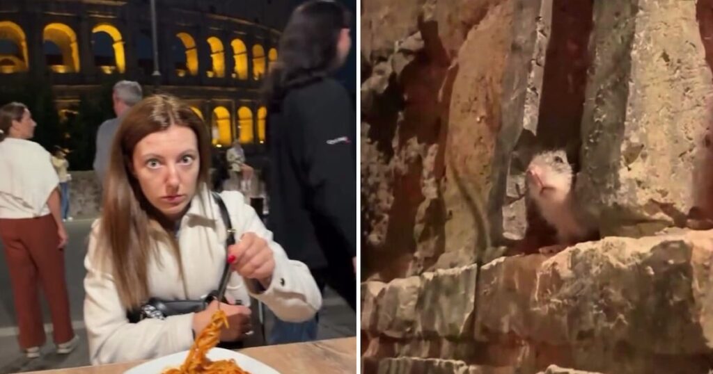 Sperie la Roma: un șobolan a stricat o întâlnire perfectă, panica tinerei și avalanșa de meme pe internet Un videoclip viral arată cum un cuplu a trăit un moment de neuitat când rozătoarea și-a întrerupt seara, generând râsete, solidaritate și anecdote similare în rândul utilizatorilor rețelelor de socializare