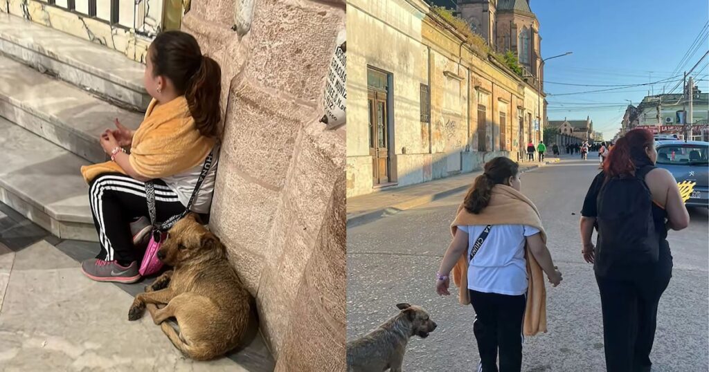 Un câine a urmat o fată pentru mai mult de 20 de kilometri în pelerinaj la Luján, iar videoclipul a mutat rețelele. Compania neașteptată a devenit o poveste de afecțiune și destin care a mutat mii de utilizatori pe diferite platforme. Familia l -a adoptat și povestea a devenit virală