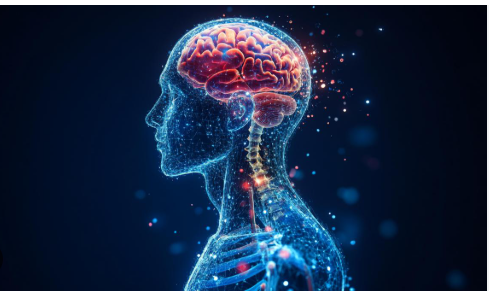 Remedii Naturiste pentru Îmbunătățirea Memoriei